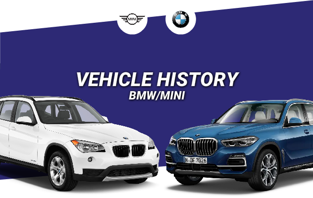 Detailed BMW AND MINI Service History